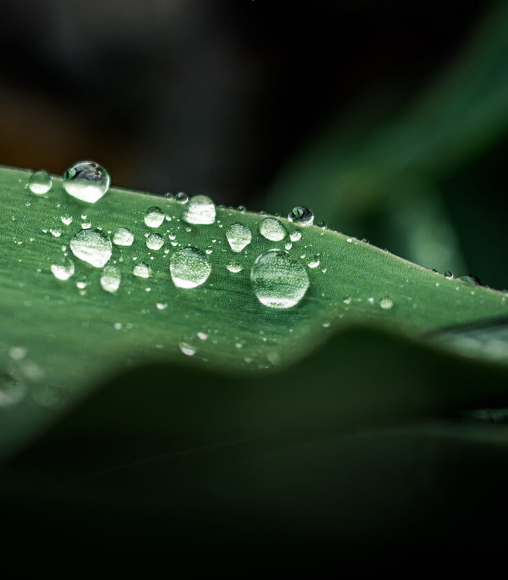 SÜRDÜRÜLEBİLİRLİK BÜLTENLERİ