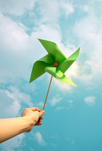 Global Çevre Politikası