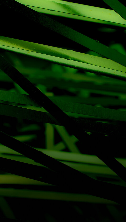 SUSTAINABILITY REPORTS