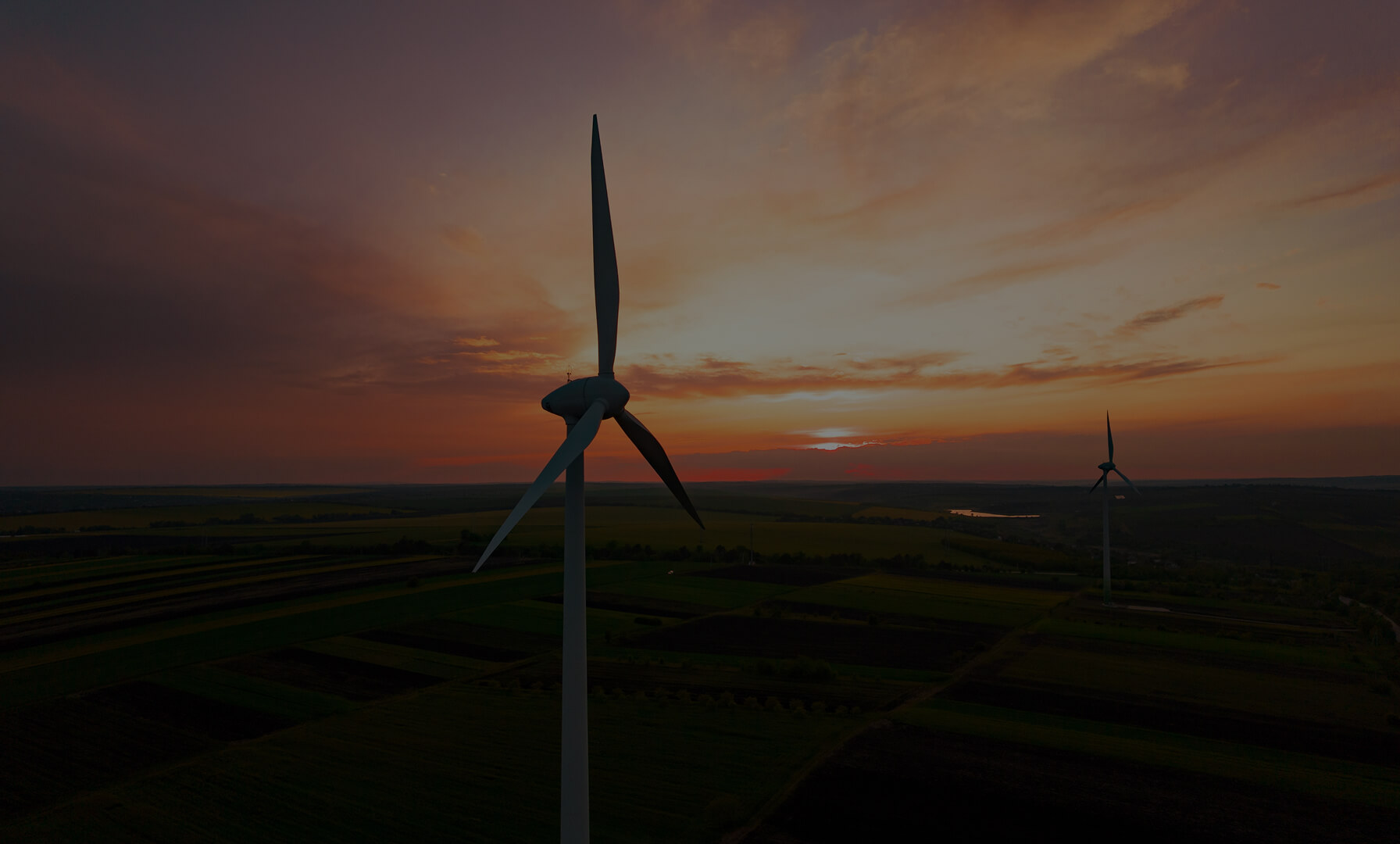 Pioneering in vision, Strong in diversity