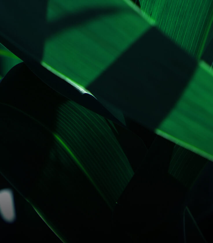 SÜRDÜRÜLEBİLİRLİK RAPORLARI