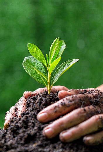 Global Sosyal Sorumluluk Politikası