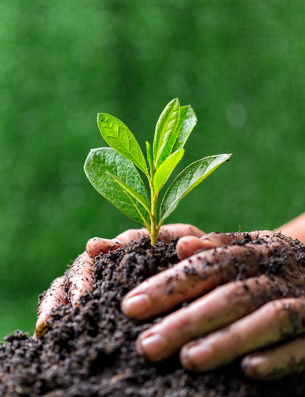 Sürdürülebilirlik<br>Stratejimiz