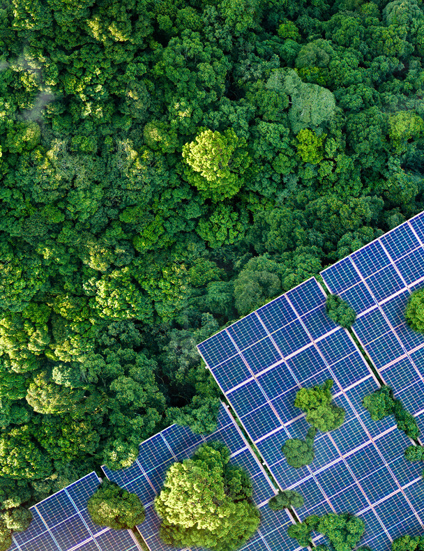 Sürdürülebilirlik<br>Yaklaşımımız