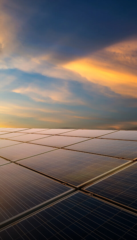 GLOBAL KURUMSAL POLİTİKALAR